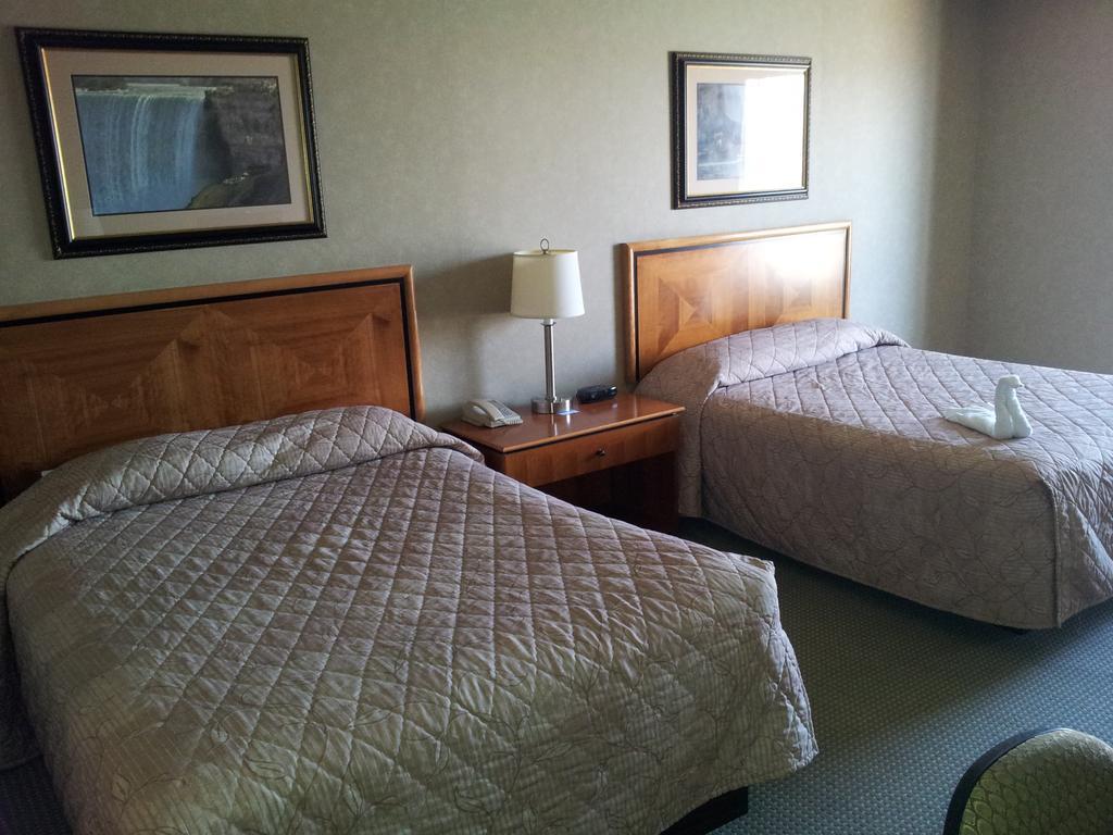The Falls & Hotel Niagara Falls